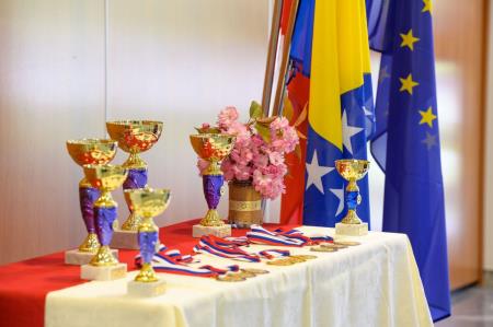 12. mednarodni šahovski turnir paraplegikov